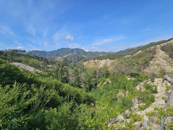 북면 덕구리 생태숲 지정 대상지 